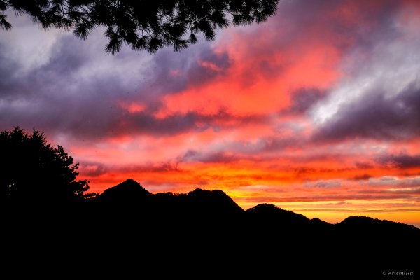 [冬訪大霸聖山岳參行]-大鹿林道東線榆金楓紅與九九山莊精選輯2974689