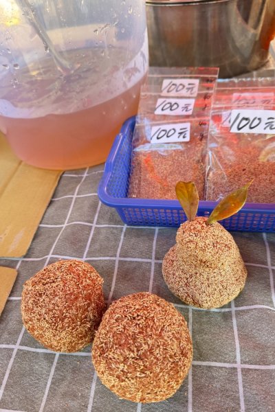 九穹神木 左訪嘉南雲峰 右到好望角看風景上石壁山(小百岳#55)2944856