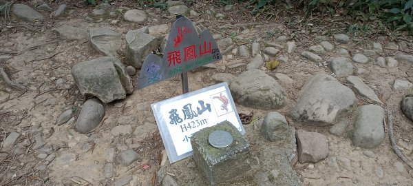 20231112_飛鳳山+觀日坪古道(含中坑山+石壁潭山)2344940