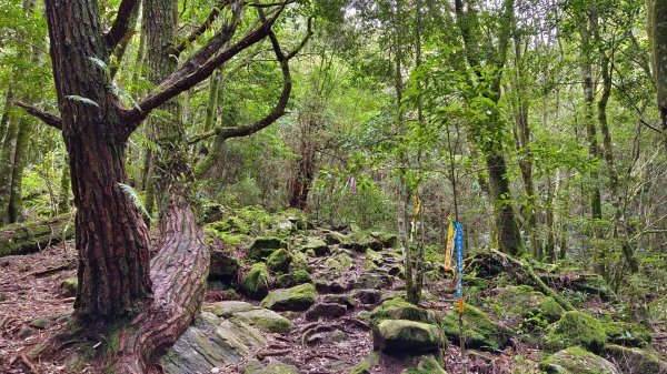 馬崙山之美1756010