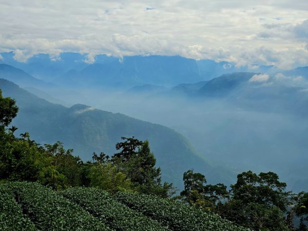 挑筍古道(大尖山、後棟仔山步道)--(雲林)臺灣百大必訪步道2955756
