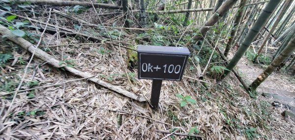 2025-01-30瑞太古道2704367