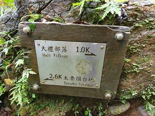 【花蓮秀林鄉】立霧山步道905354