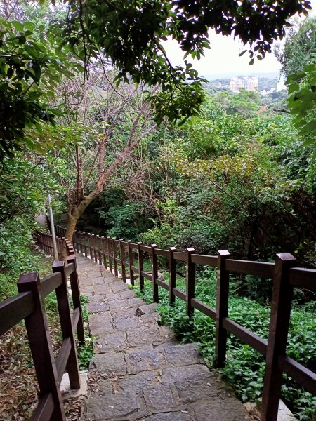 【南山神壽任務尋寶趣】碧湖公園步道憶故人1579611