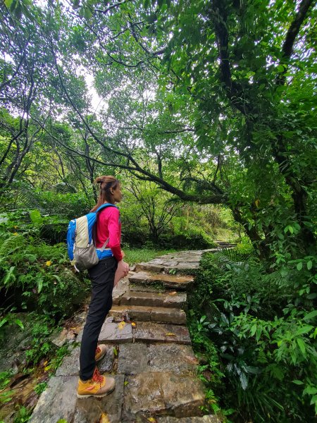 【福隆 | 草嶺古道】1172517