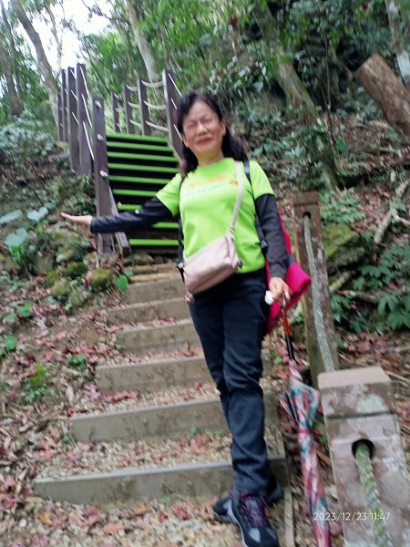 四訪苗栗的花果山-小百岳#037馬那邦山、雪霸國家公園管理處【小百岳集起來、苗栗-臺灣百大必訪步道】2394331