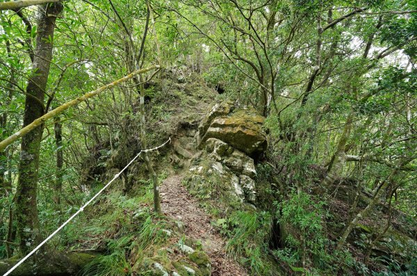新北 烏來 烏來山、大桶山、四崁水山2829234