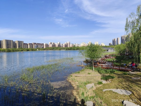 中國山東淄博海岱樓鍾書閣 - 中國最美書店；知味齋大飯店；夜訪周村古大街、開葷燒烤2776645