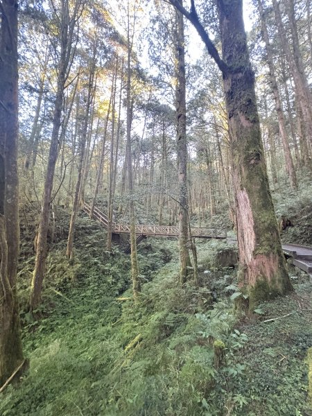 20251225塔山步道(大塔山)2970282