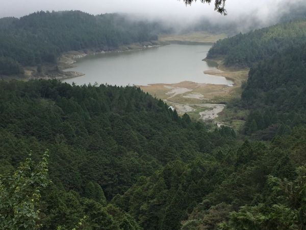 翠峰湖環山步道216489