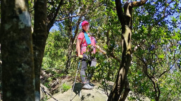 (姨婆趴趴走)第十四集:新竹關西油井窩山、彩和山、高甫山縱走2206442