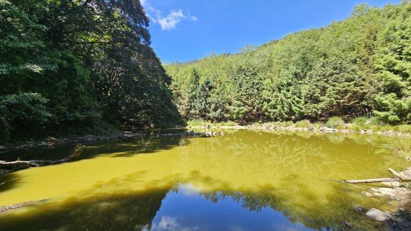 【被遺忘的南橫仙境】中之關、天池步道O繞10K2798197