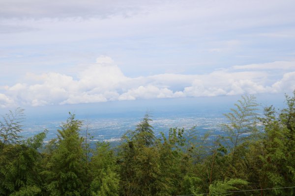 360度環景好視野。雲嶺之丘x杉木林步道741829