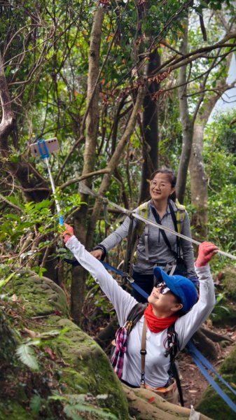 東勢大崙、東勢坑山、觀音湖山O走2986310