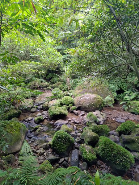 三貂嶺瀑布群步道→大華車站1053236