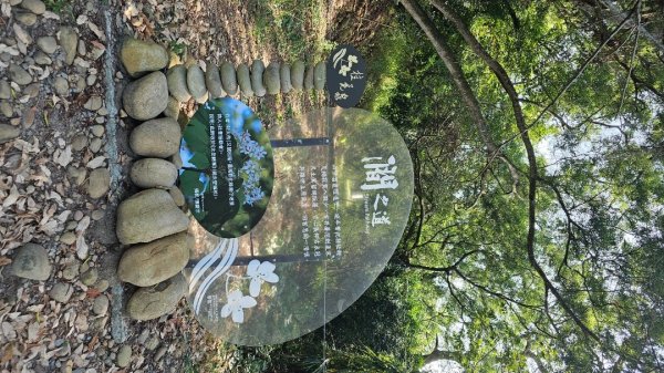 【誰是本尊？誰又是分身？】解鎖第53座小百岳#038鐵砧山2903836