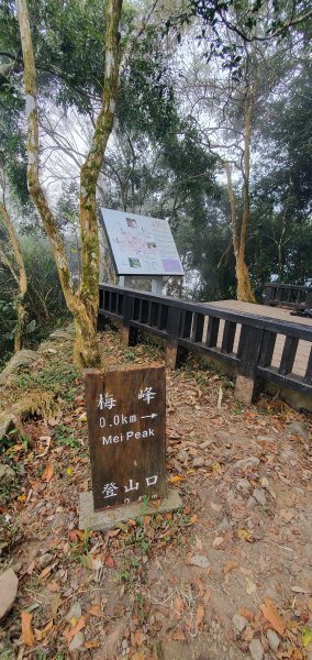 2023-12-02梅峰古道、獵鷹尖一線天步道、伍龍步道環行一圈2367081