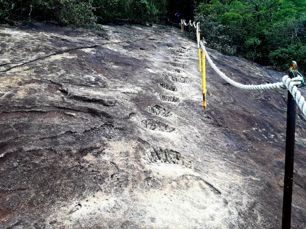金面山、絹絲瀑布2532396