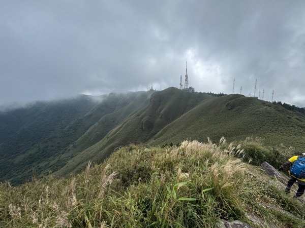 小觀音西峰 二子坪步道 小油坑山3129488