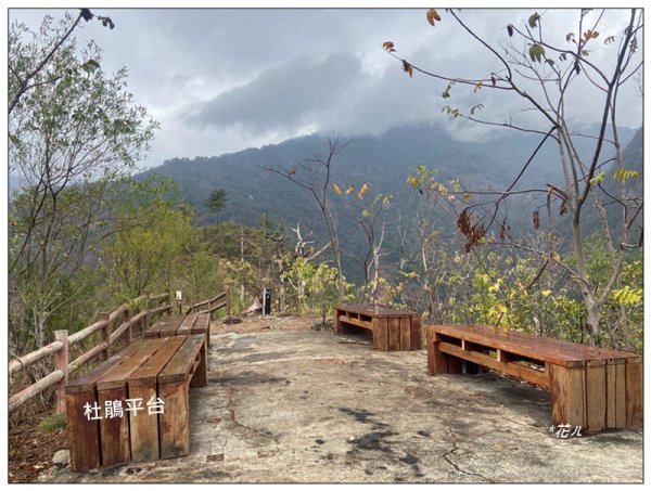 惠蓀林場 杜鵑嶺 O遶一圈3010271