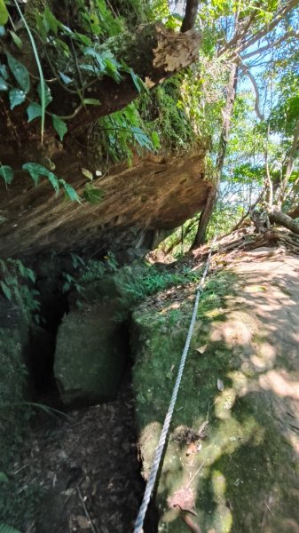 叮叮叮：一個人的微笑山線😊2917427