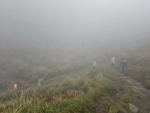 2025臺北大縱走第三段：小油坑至風櫃口