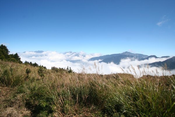 高雄 桃源 台東 海端 庫哈諾辛山 關山嶺山2832183