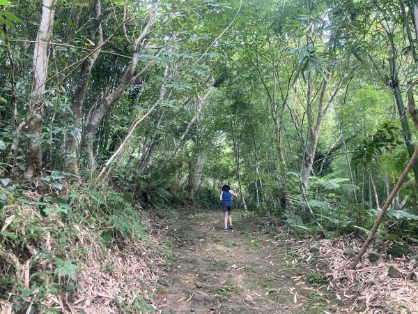 五指山橫向步道2569514