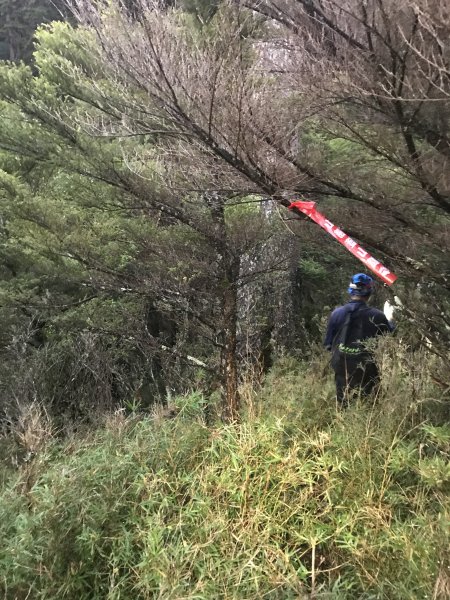 小關山林道走小關山(小關山西稜上，西南稜1178595