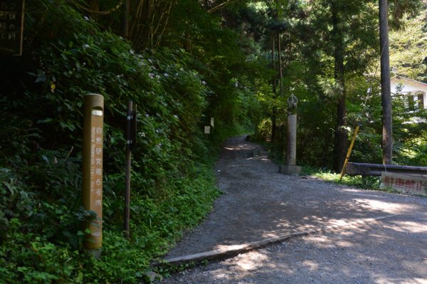 日本高尾山溪澗健行（6號步道）668986