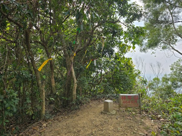 林牛山+聚興山2709937