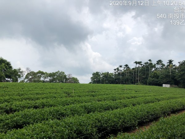 台灣小百岳No.048 橫山1102117