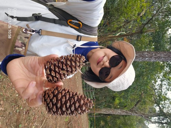 20260105高遶溪古圳步道P走+羅浮泡腳2977842