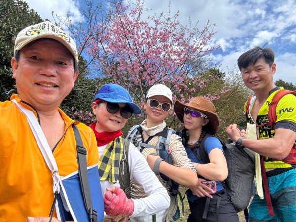悠遊陽明山(東進東出陪復健2739523