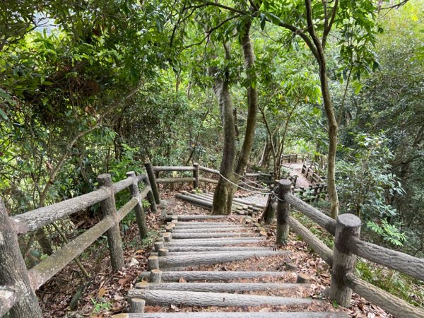 大坑2號原路來回2130457