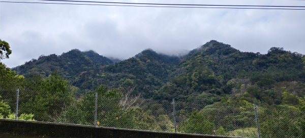 2025/03/16_蓬萊溪護魚步道+萊園坪山2737584