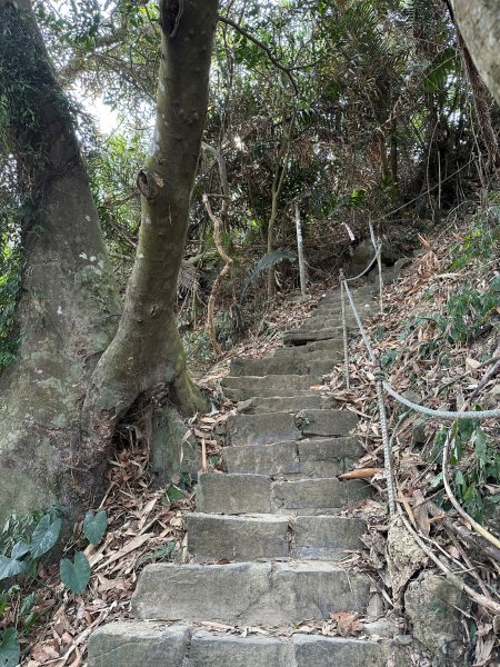 紫竹寺禮佛健走到刣牛湖山2105944