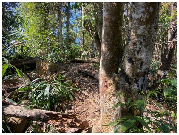 頭社水庫、大舌滿山2757564