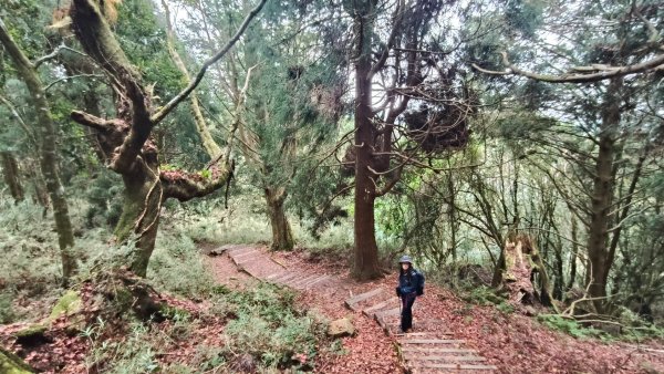 神阿縱走~台灣難抵極~大塔山2971509