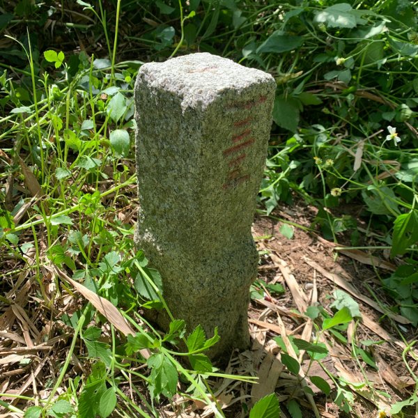 20250929台南草坪埔山-牛息山-竹腳湖山西北峰2899761