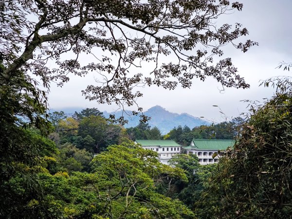 2025-03-08 汶水三山：金童山、汶水山、玉女山 連走2736562