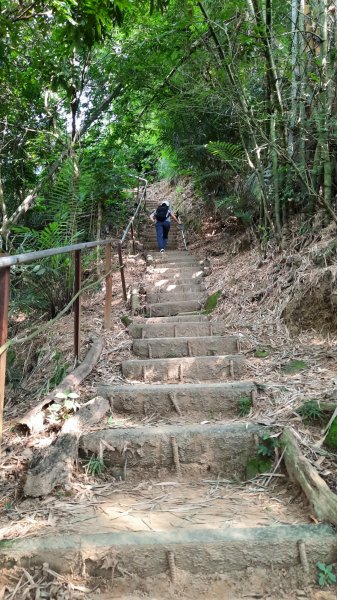 《台中》消暑冰淇淋｜三崁頂健康步道(北坑步道)202208131803460