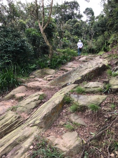 南勢角山（烘爐地—青春步道）550210