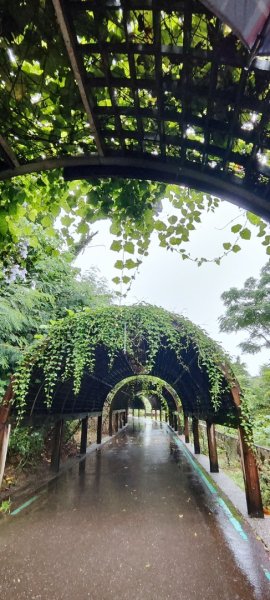 台東．森林公園202508013019156