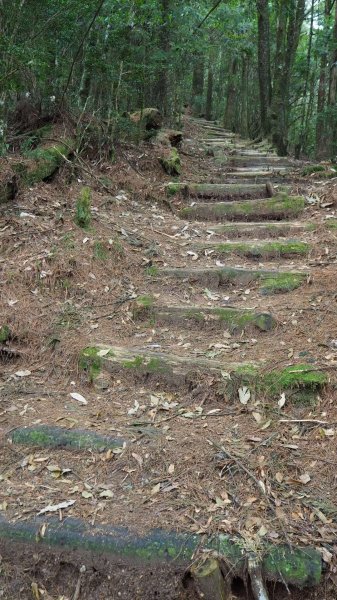 大雪山木馬道鞍馬山O型20190921685073