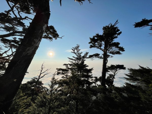 見證最美麗北大武山雲海、鐵杉1318812
