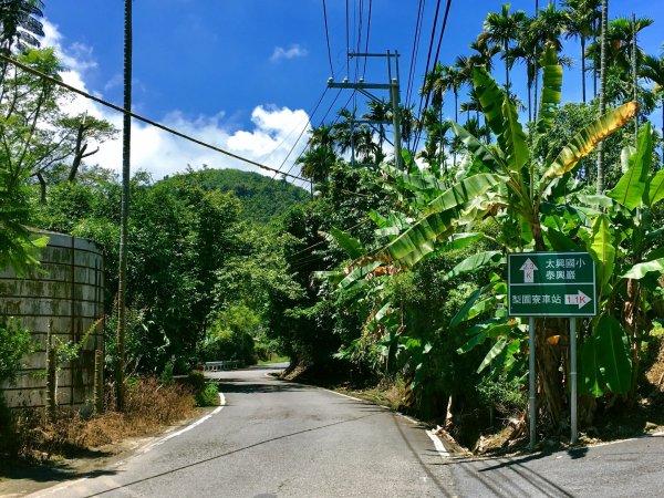 嘉義涼夏新亮點：太興飛瀑步道598274