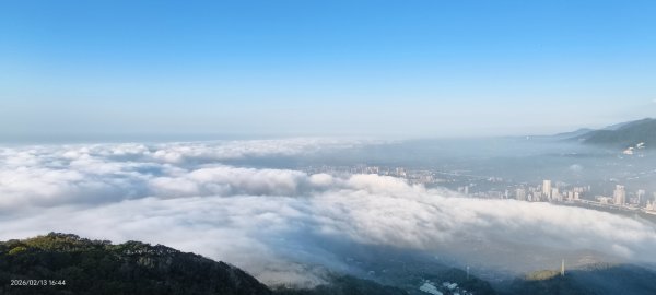 #觀音山 #雲海 #夕陽 #天空之城 #大赤鼯鼠（飛鼠） 2/132999440