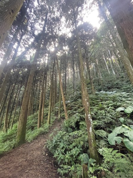 油羅山 2025 09/132890040