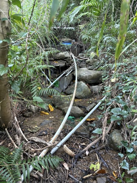 20251213屏東里龍山2961272